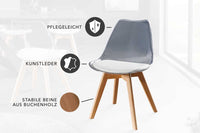 Design Stuhl SCANDINAVIA MEISTERSTÜCK transparent Kunststoff Buchenholz natur