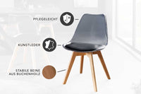Design Stuhl SCANDINAVIA MEISTERSTÜCK transparent Kunststoff Buchenholz natur