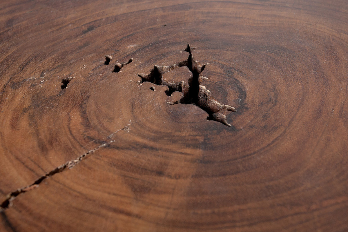 GOA Solid Coffee Table 50cm Acacia Tree Trunk Stool Side Table