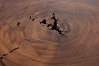 GOA Solid Coffee Table 50cm Acacia Tree Trunk Stool Side Table