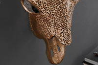 Eleganter Stierkopf MATADOR 56cm Schädel Wanddekoration