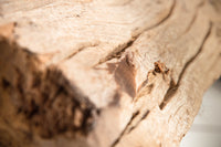 Handmade Stehlampe ROUSILIQUE 180cm schwarz Treibholzlampe Leinenschirm Baumstamm