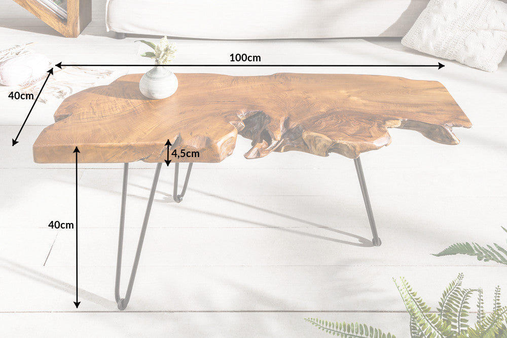 WILD Massiver Couchtisch 100cm Teak Massivholz Baumscheibe Hairpin Legs