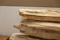 RIVERINE Handcrafted table lamp 80cm beige driftwood base with linen shade