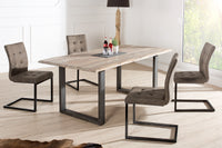 OXFORD design cantilever chair iron frame