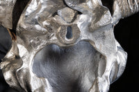 Design Schädel MATADOR 70cm silber Aluminium Wanddekoration