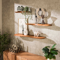 SNAKE Design shelf 165cm oak look bookcase with five shelves