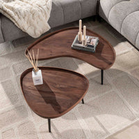 CARVE Couchtisch Organic 2er Set Akazienholz