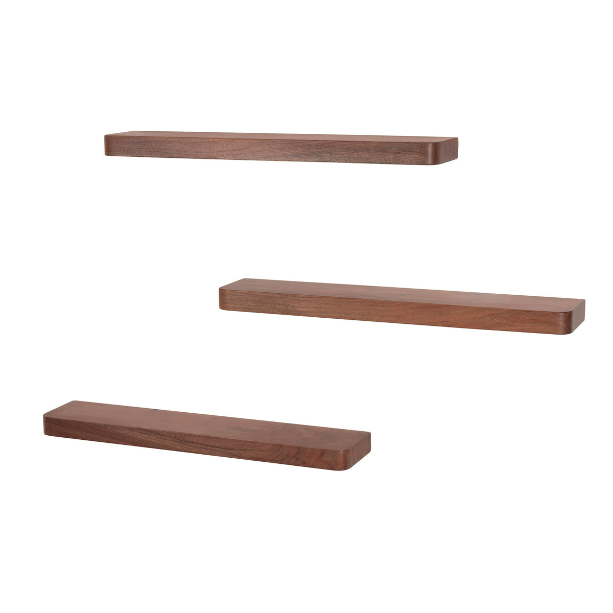 SNAKE Design shelf 165cm oak look bookcase with five shelves