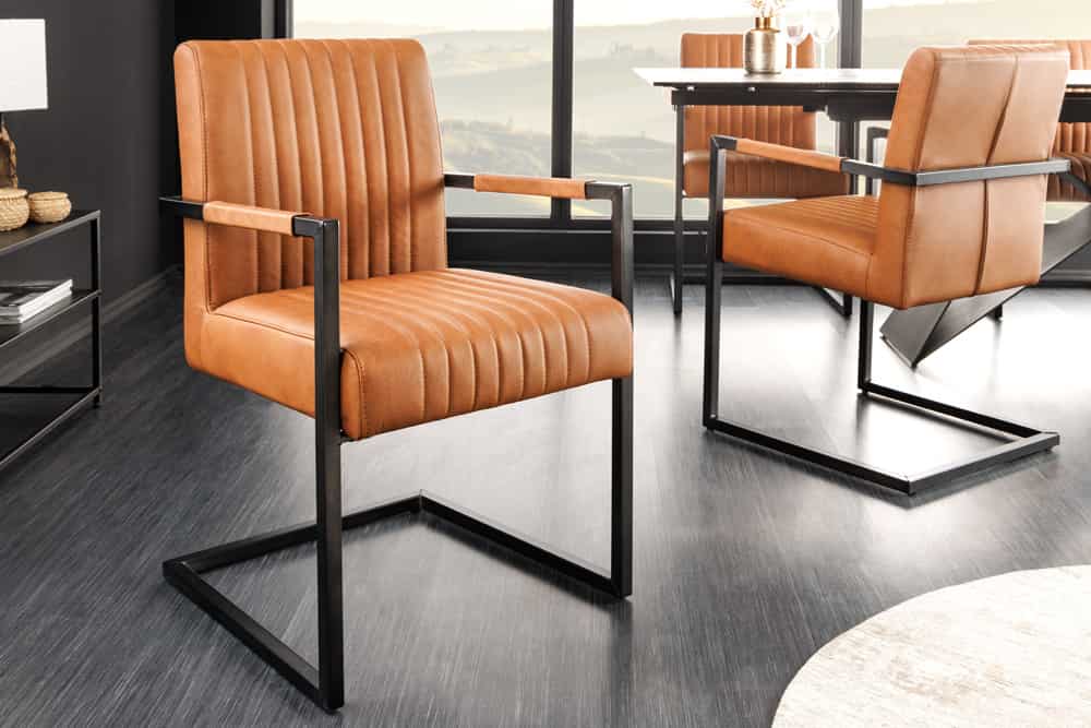 BIG ASTON Moderner Freischwinger Armlehnenstuhl Echtleder Federkern Metall