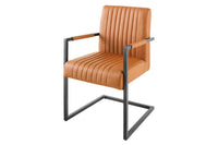 BIG ASTON Moderner Freischwinger Armlehnenstuhl Echtleder Federkern Metall