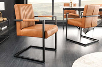 BIG ASTON Moderner Freischwinger Armlehnenstuhl Echtleder Federkern Metall