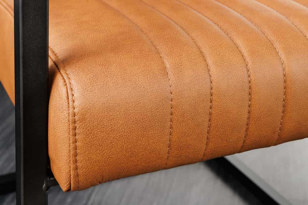 BIG ASTON Moderner Freischwinger Armlehnenstuhl Echtleder Federkern Metall