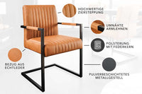 BIG ASTON Moderner Freischwinger Armlehnenstuhl Echtleder Federkern Metall