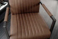 BIG ASTON Moderner Freischwinger Armlehnenstuhl Echtleder Federkern Metall