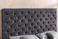 PARIS Design Boxbett Samt Grau Chesterfield Doppelbett