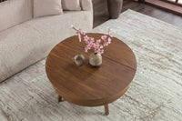 Massiver Couchtisch KYOTO 70cm braun Mangoholz im Walnuss-Design mit Stauraum