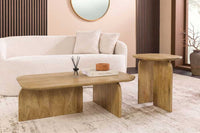2er Set Couchtische GATSBY 100cm braun Mangoholz organische Form Beistelltisch