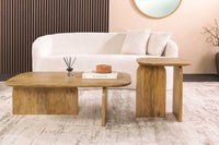 2er Set Couchtische GATSBY 100cm braun Mangoholz organische Form Beistelltisch