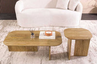2er Set Couchtische GATSBY 100cm braun Mangoholz organische Form Beistelltisch