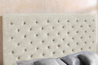 PARIS Design Boxbett Samt Champagner Beige Chesterfield Doppelbett