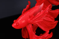 Design Deko Figur Kampffisch CROWNTAIL Betta Fisch Skulptur