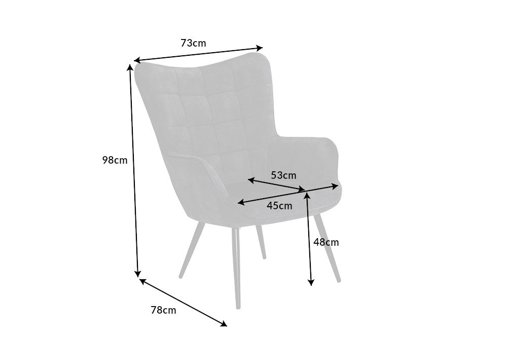 SCANDINAVIA Moderner Sessel Samt schwarze Metallbeine mit Armlehnen